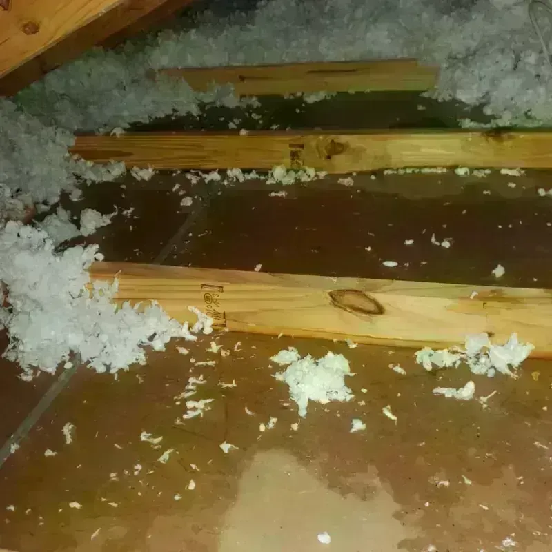 Attic Water Damage in Hamden, CT